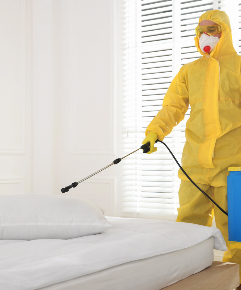 Professional Pest Control Team in Hahndorf